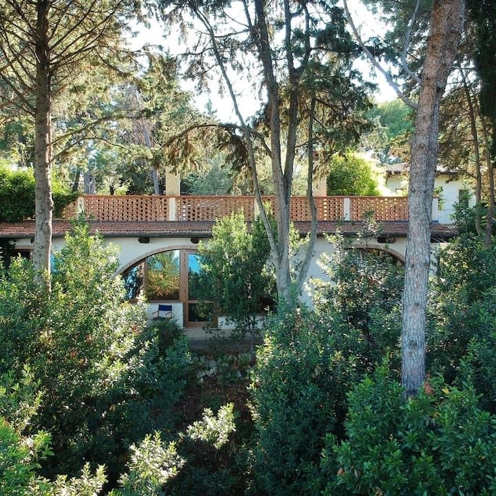 The villa among the trees