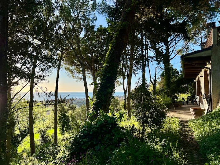 Garden with sea view