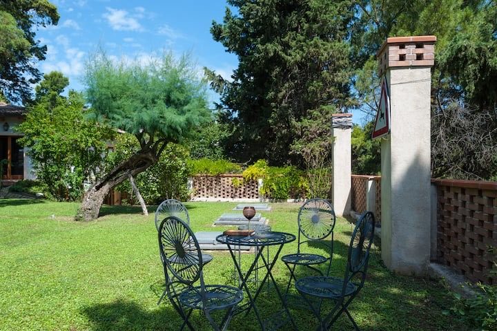 Lush garden lawn