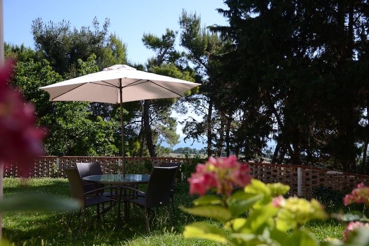 Garden lounge with umbrella
